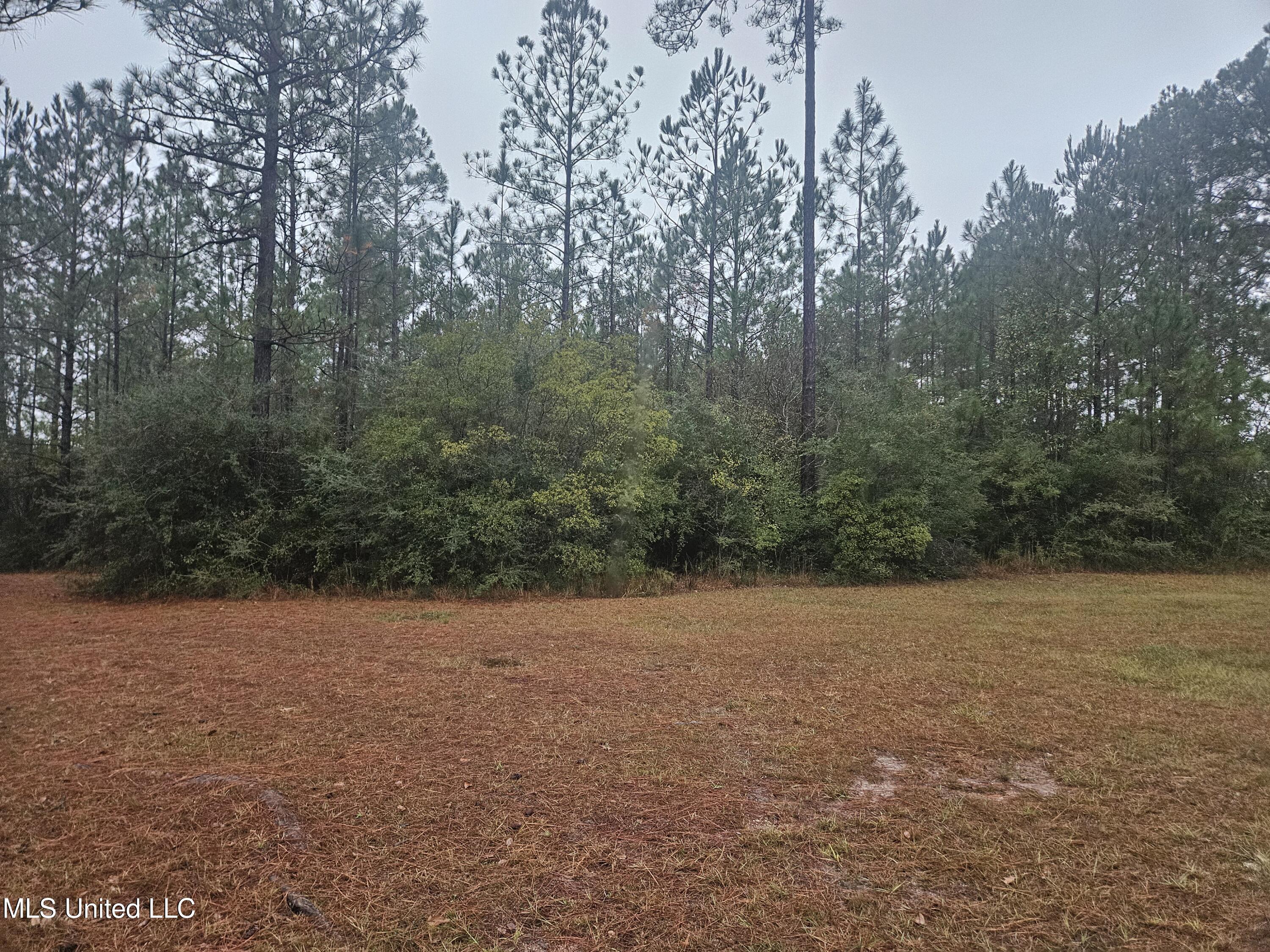 E Lake Cypress Drive Property Photo 3