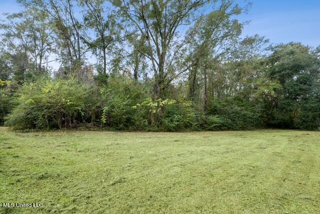 20228 Lewis Lane Property Photo 13
