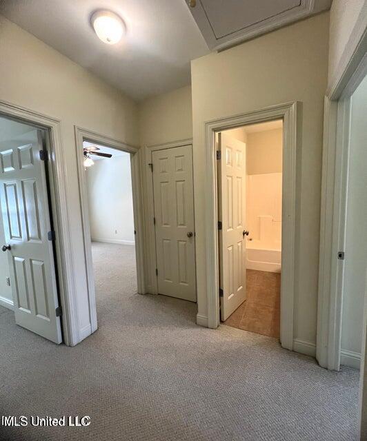 910 Jefferson Drive Property Photo 7