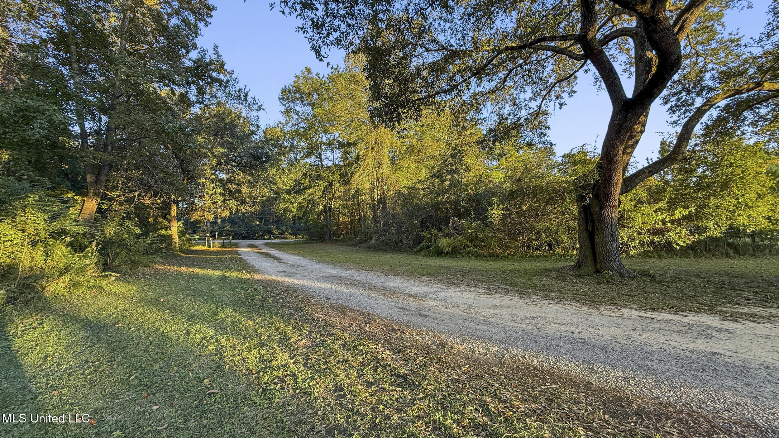 10305 Highway 57 Property Photo 24