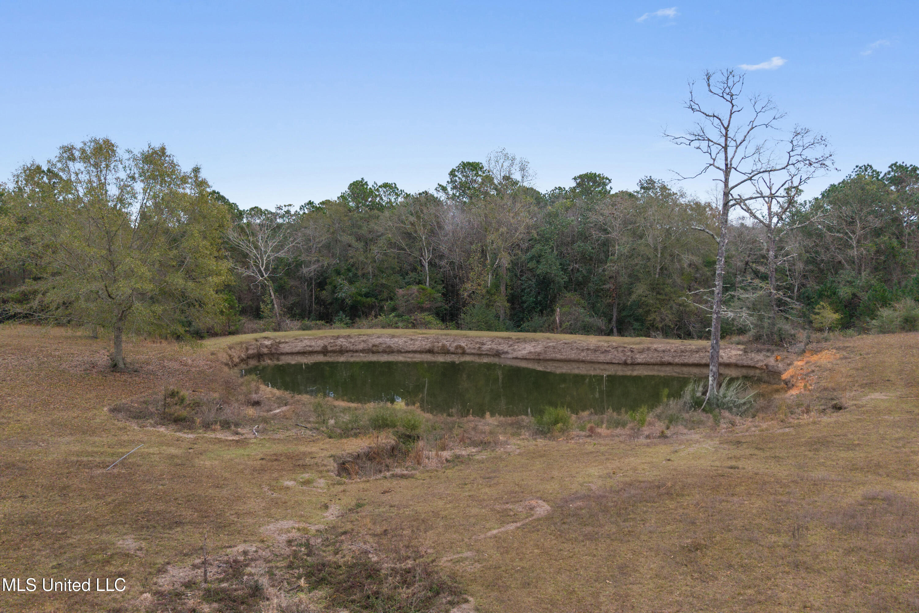 92 Sam Davis Drive Property Photo 41