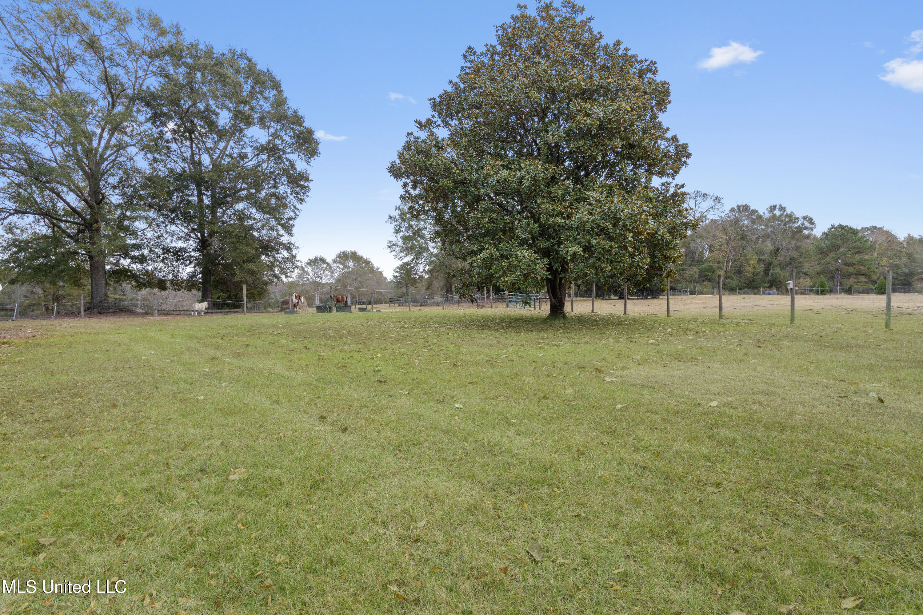 92 Sam Davis Drive Property Photo 64