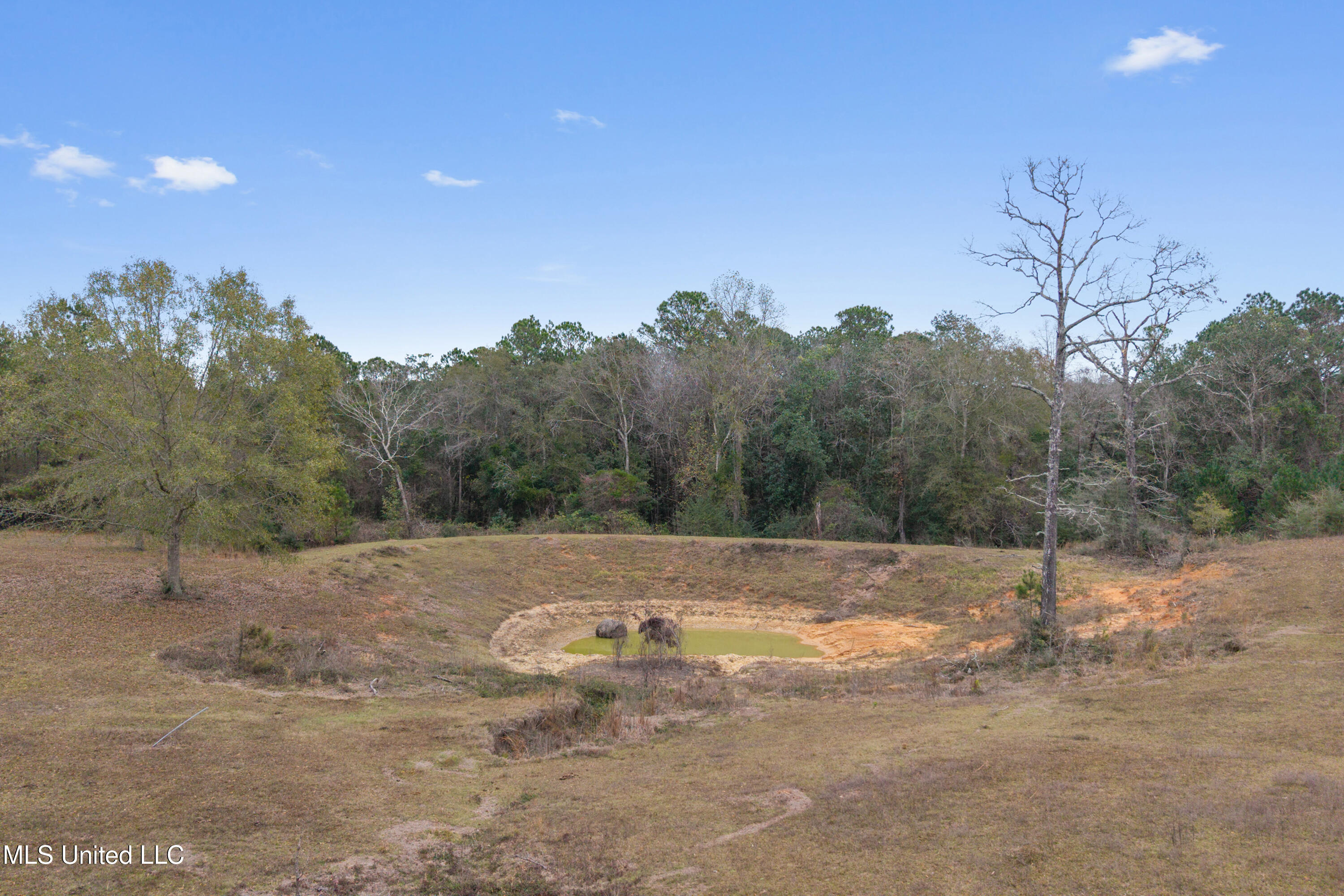 92 Sam Davis Drive Property Photo 84