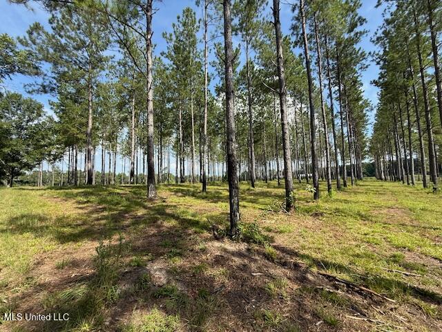 401 Sw Montgomery Road Property Photo 14