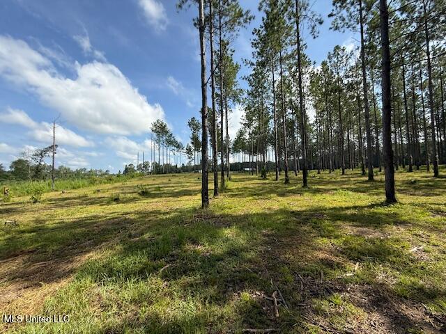 401 Sw Montgomery Road Property Photo 15
