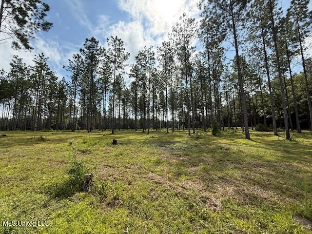 401 Sw Montgomery Road Property Photo 16