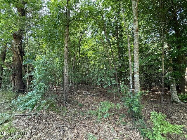 401 Sw Montgomery Road Property Photo 17