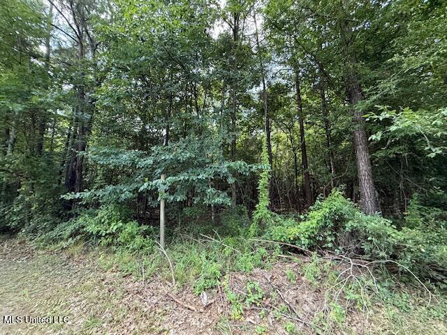 401 Sw Montgomery Road Property Photo 18