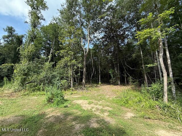 401 Sw Montgomery Road Property Photo 19