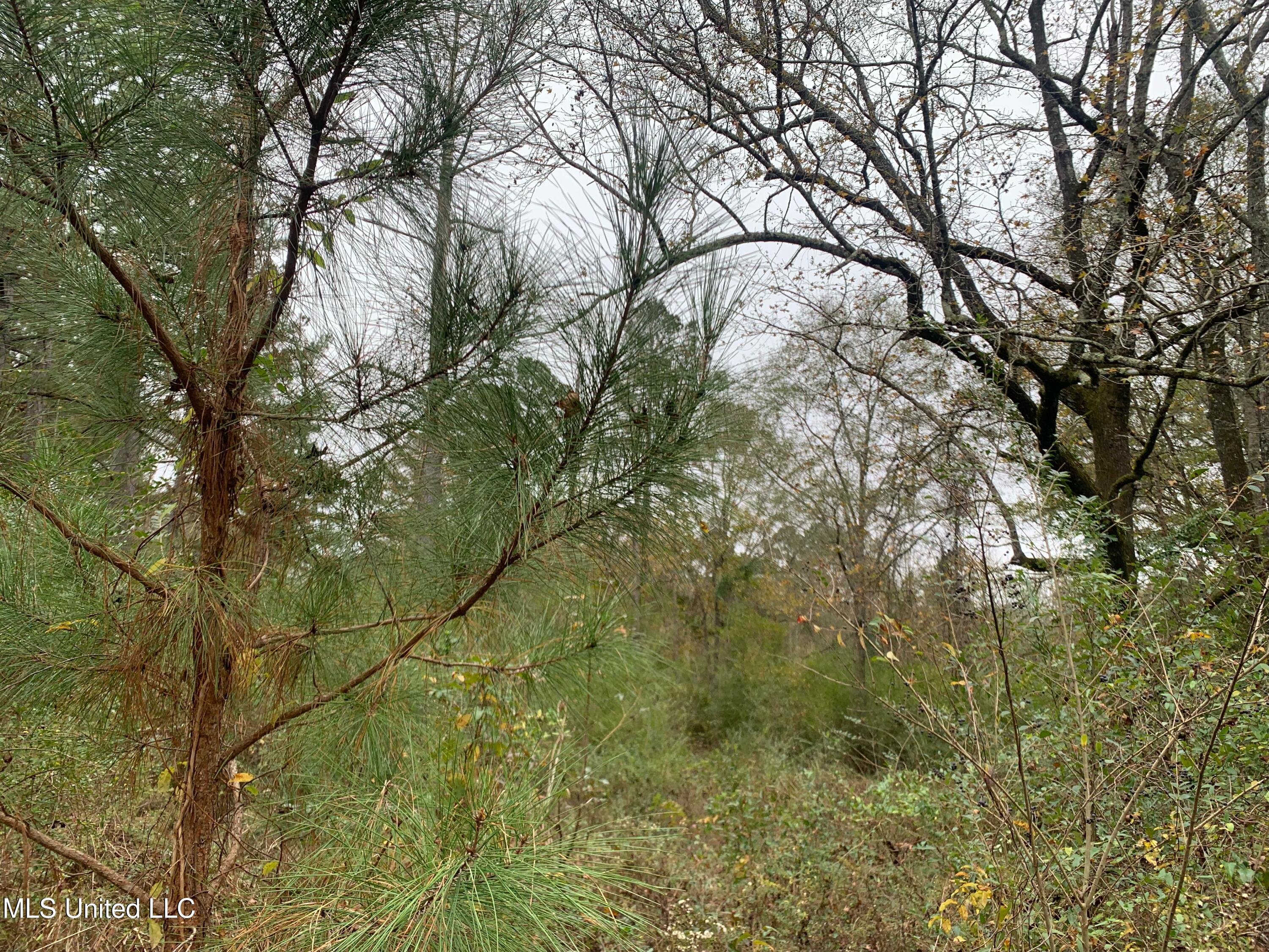 3607 Highway 43a Property Photo 32