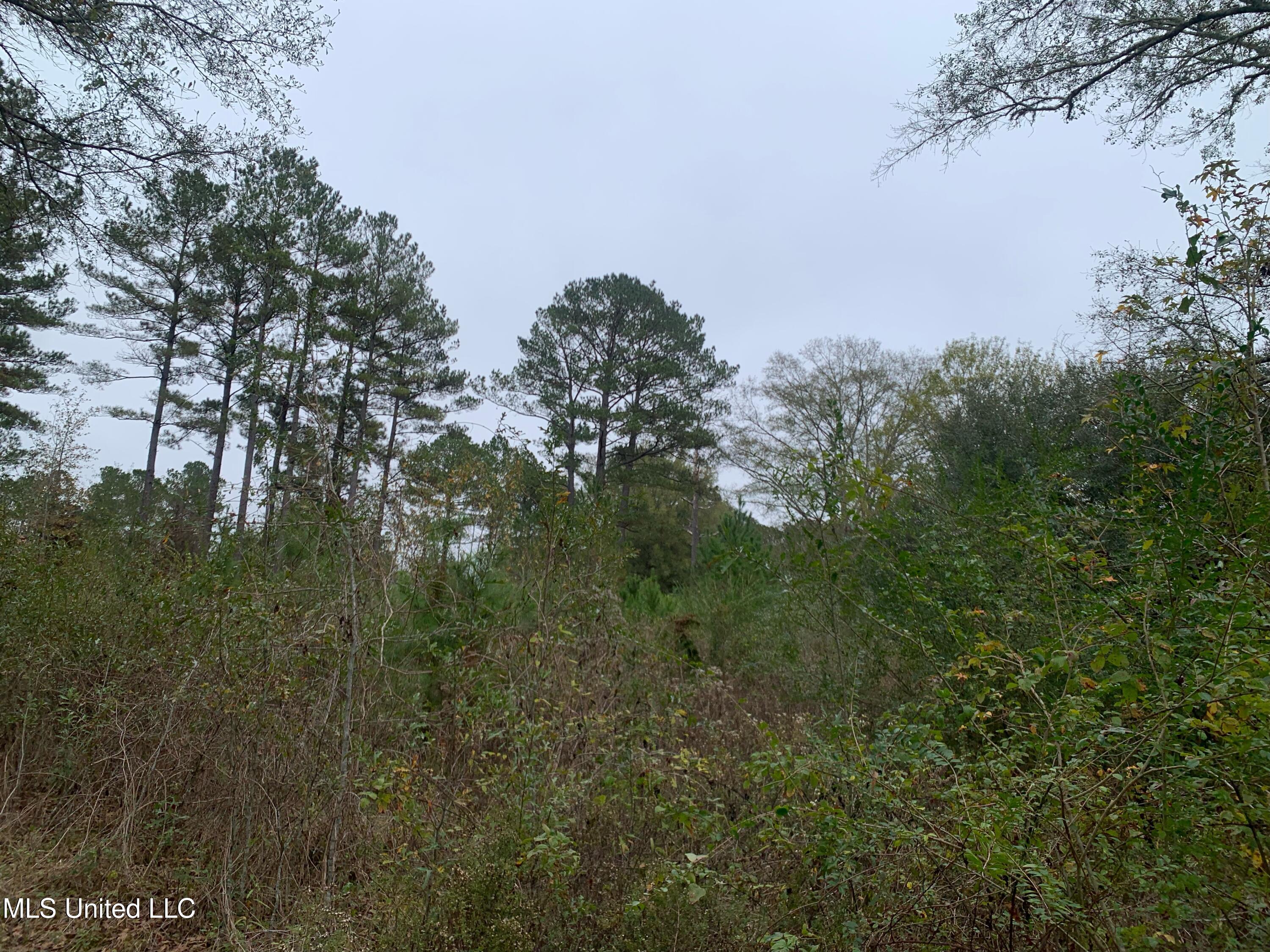 3607 Highway 43a Property Photo 33