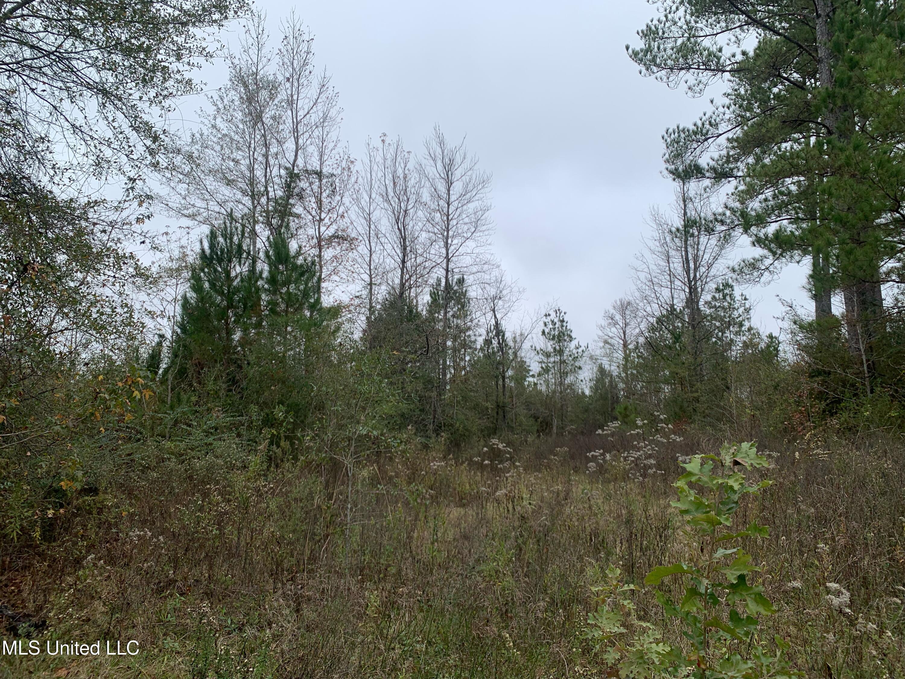 3607 Highway 43a Property Photo 34
