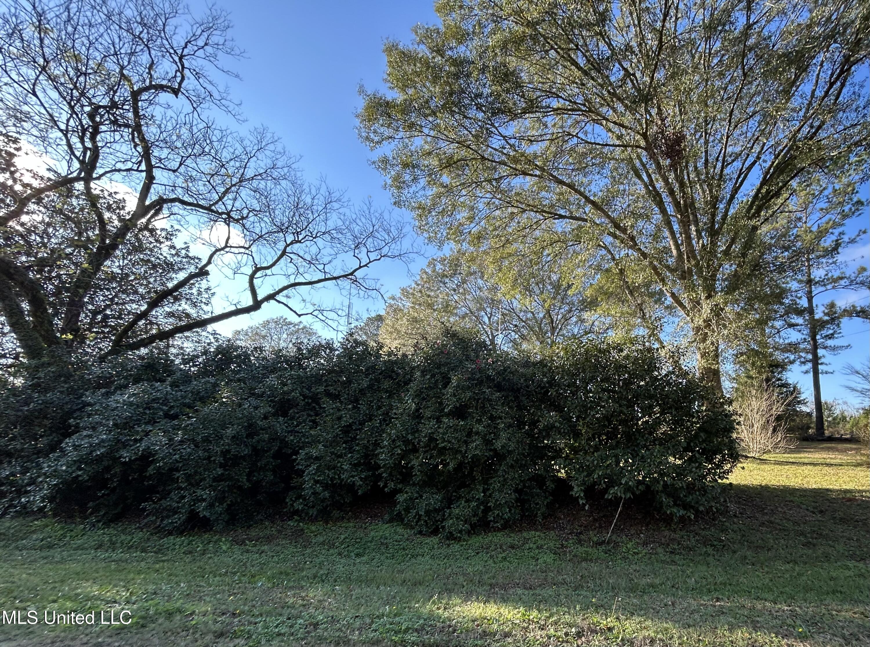 3607 Highway 43a Property Photo 39