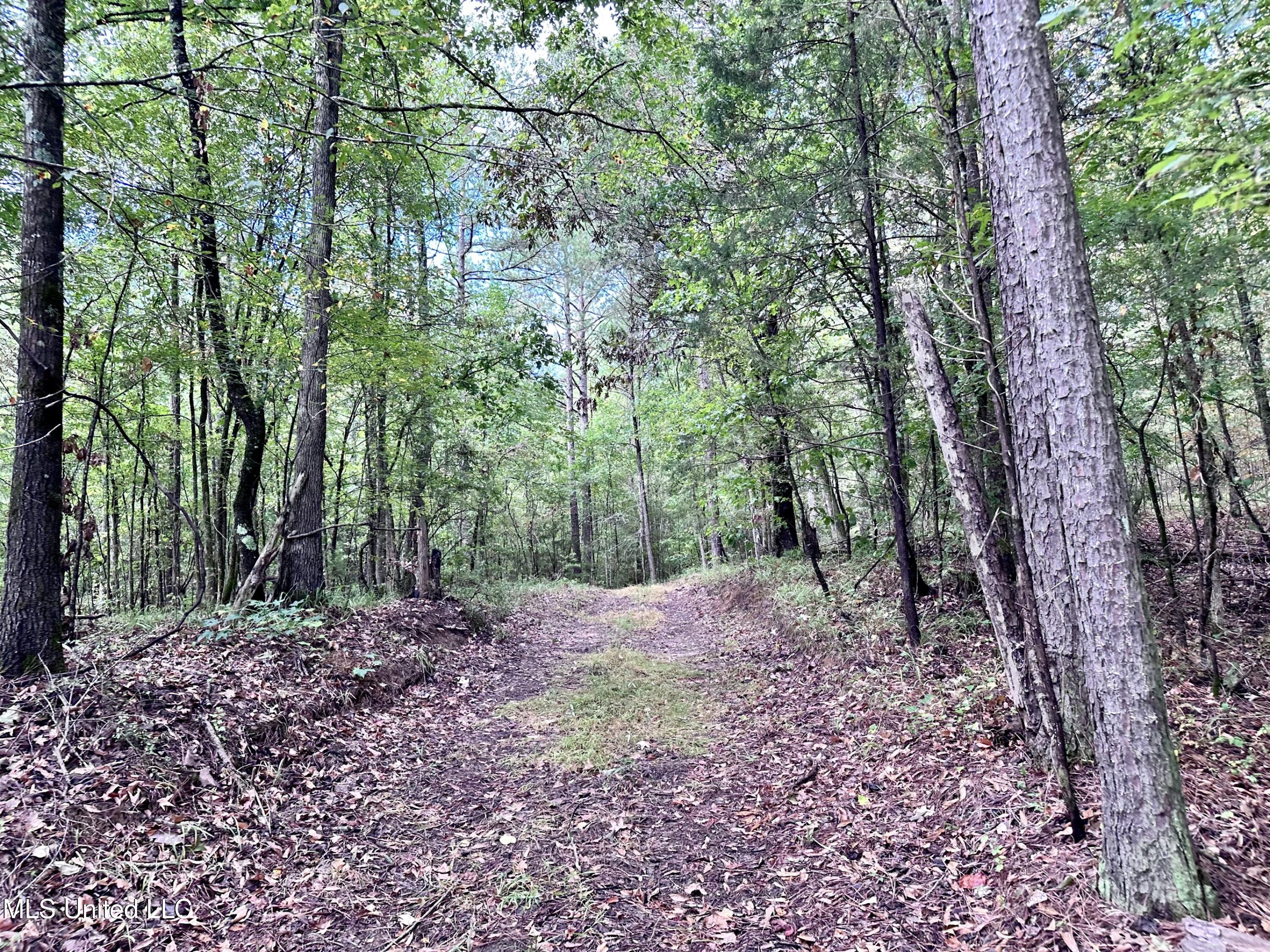 609 Co Rd 333 Property Photo 25
