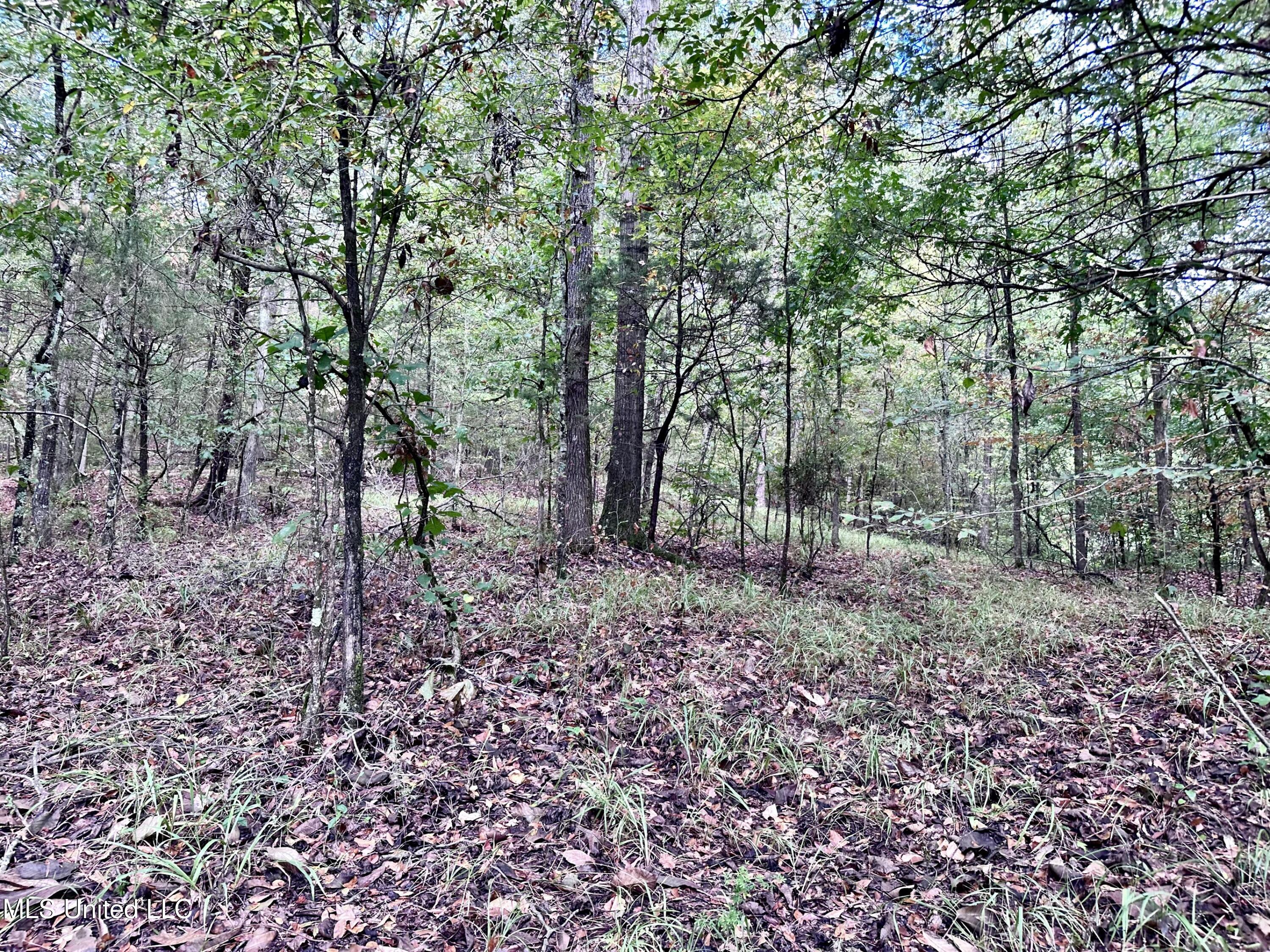 609 Co Rd 333 Property Photo 26