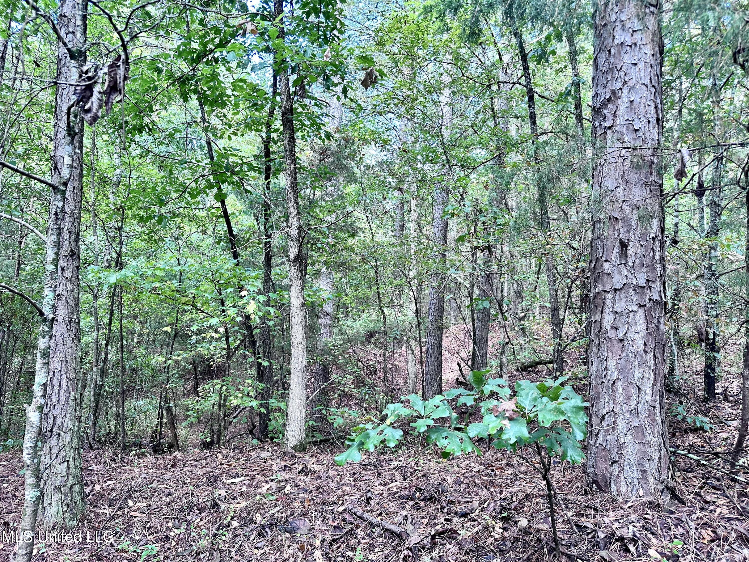 609 Co Rd 333 Property Photo 27