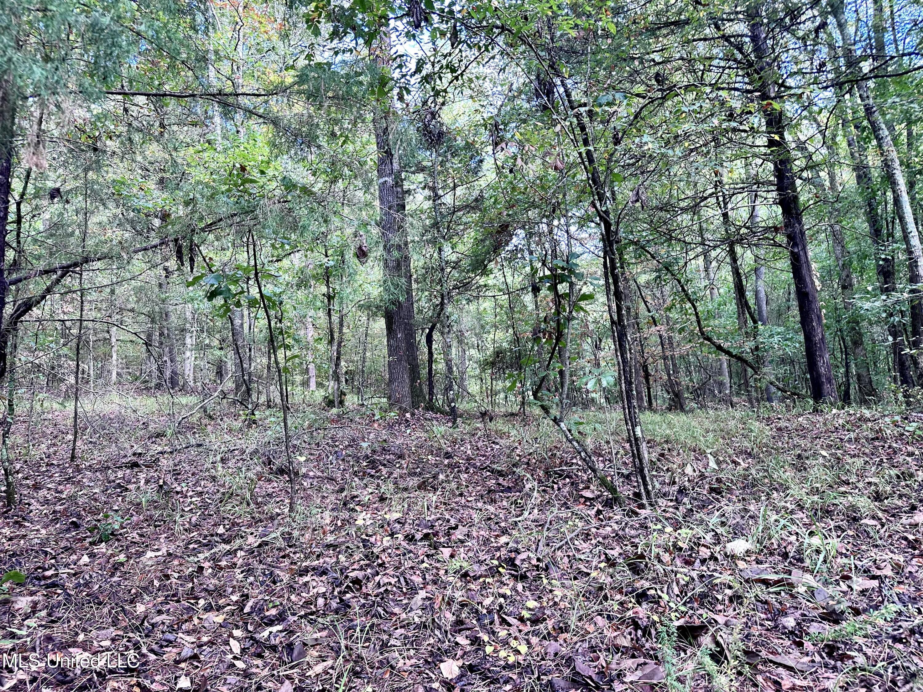 609 Co Rd 333 Property Photo 28
