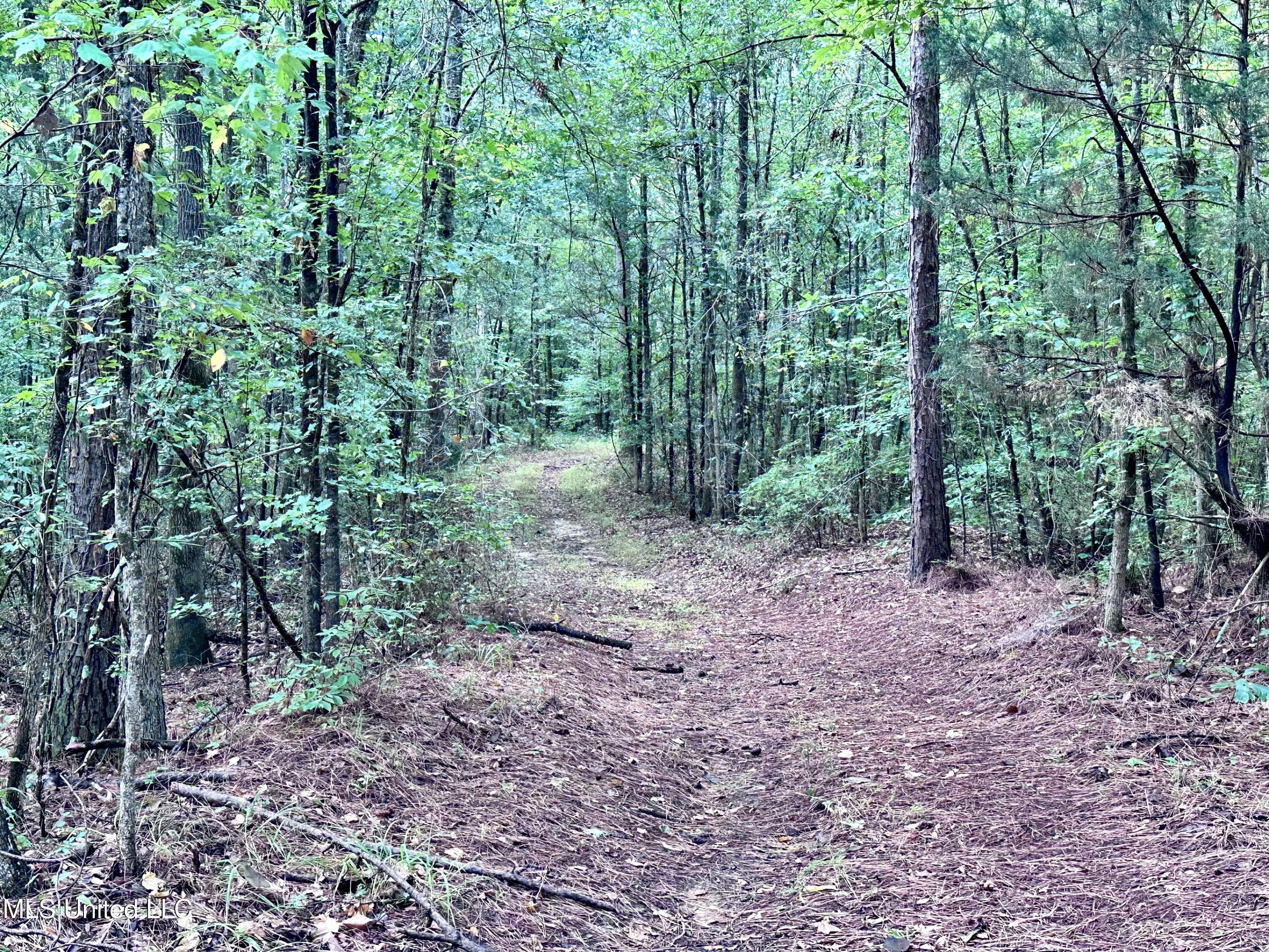 609 Co Rd 333 Property Photo 29