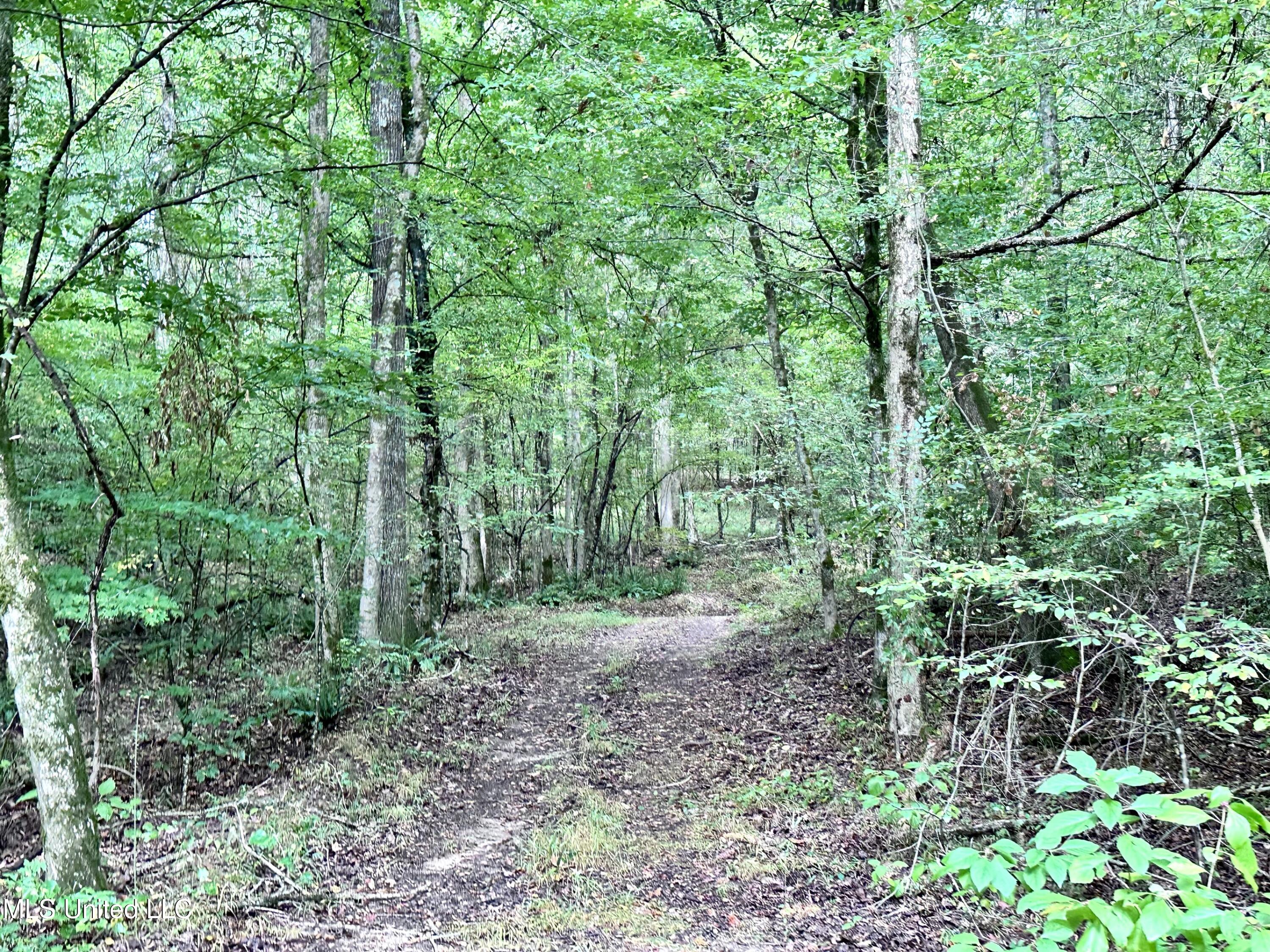 609 Co Rd 333 Property Photo 30