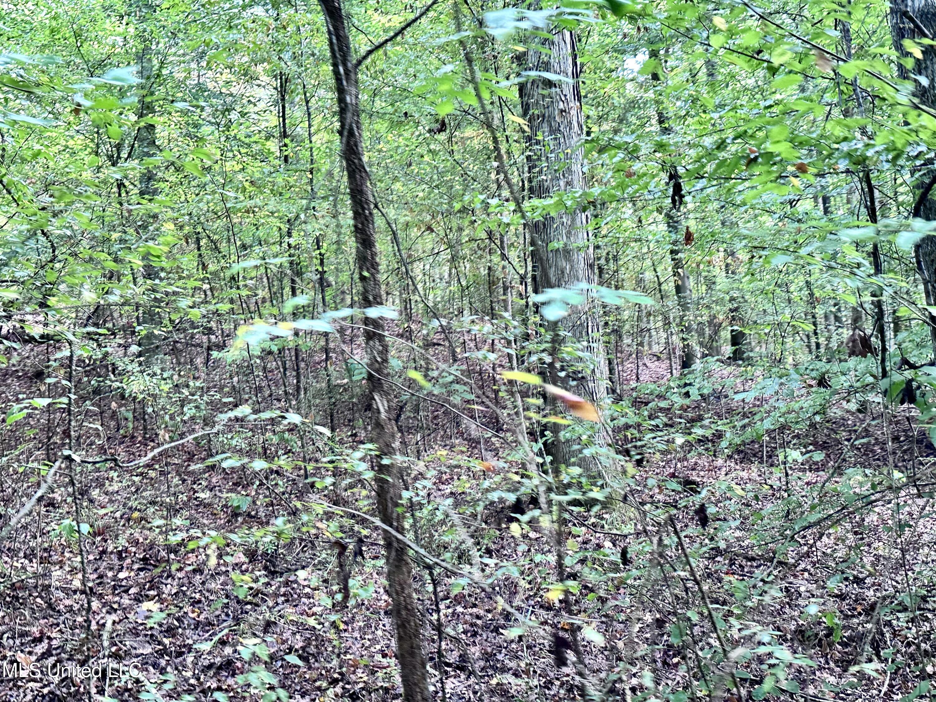 609 Co Rd 333 Property Photo 31