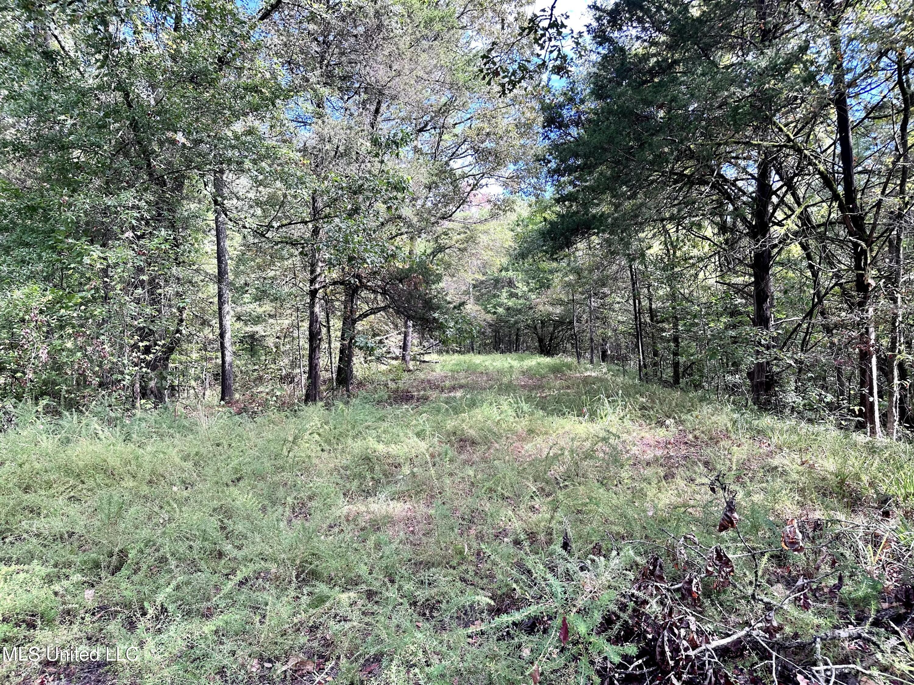 609 Co Rd 333 Property Photo 35
