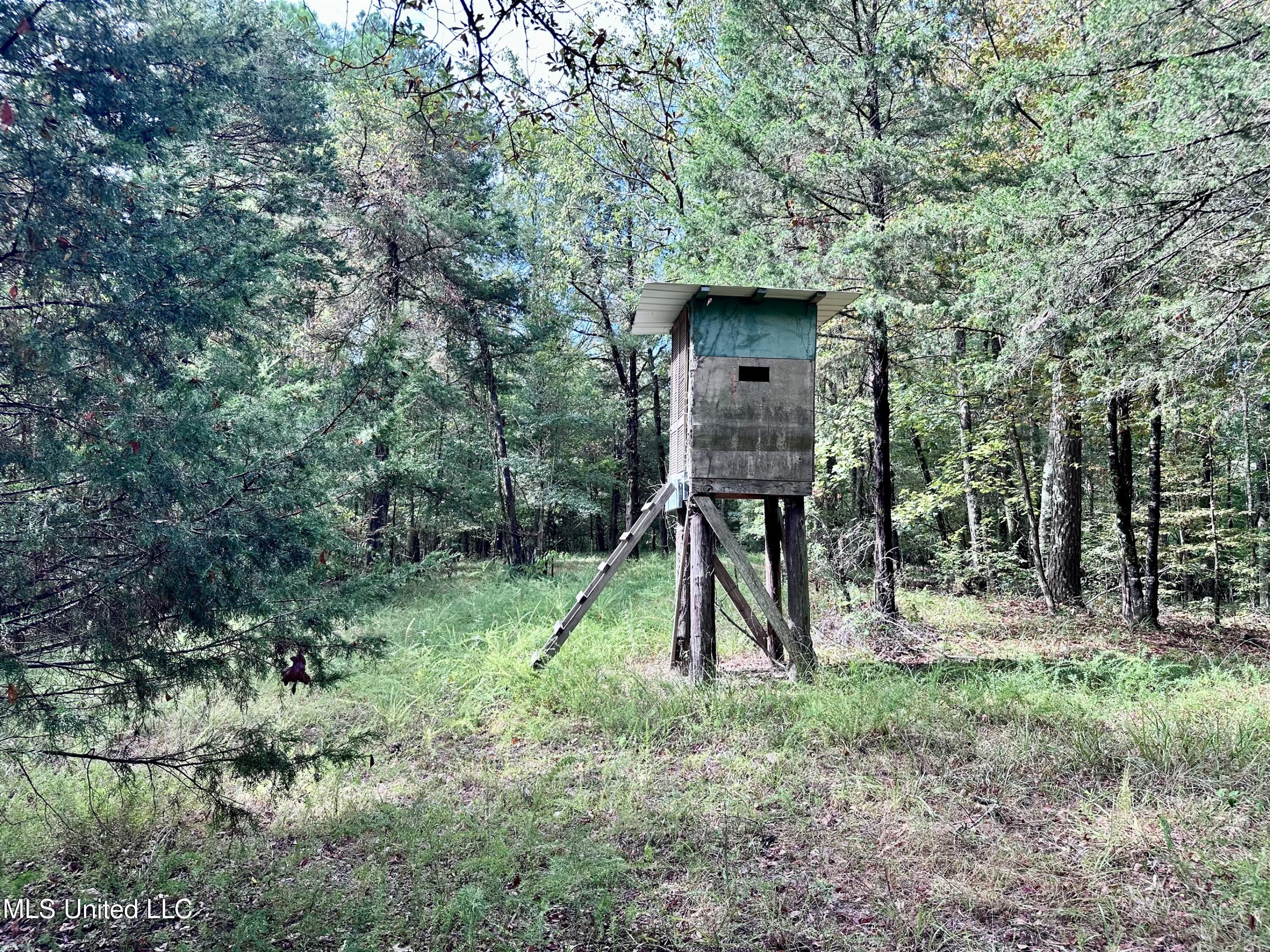 609 Co Rd 333 Property Photo 36