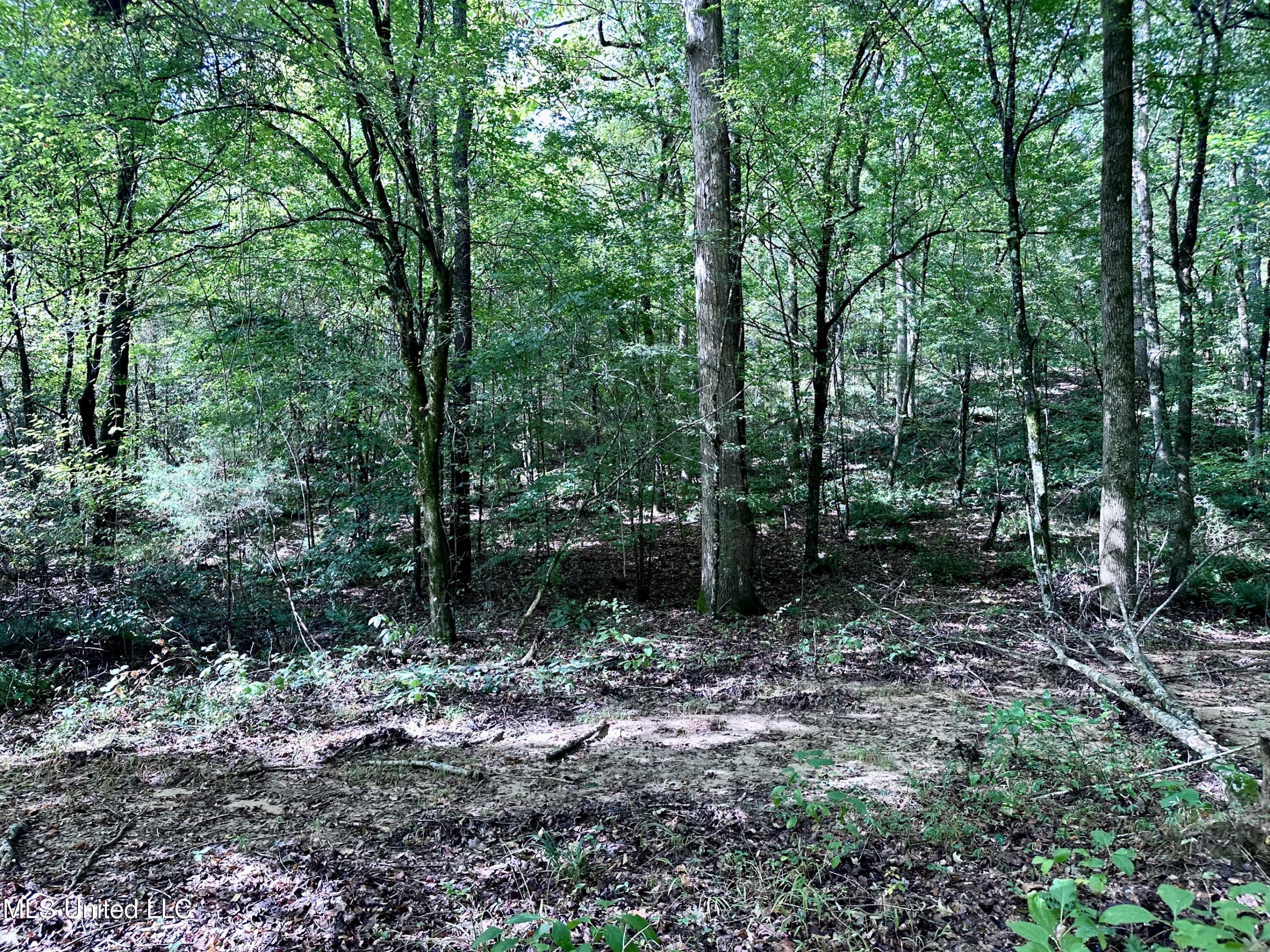 609 Co Rd 333 Property Photo 37