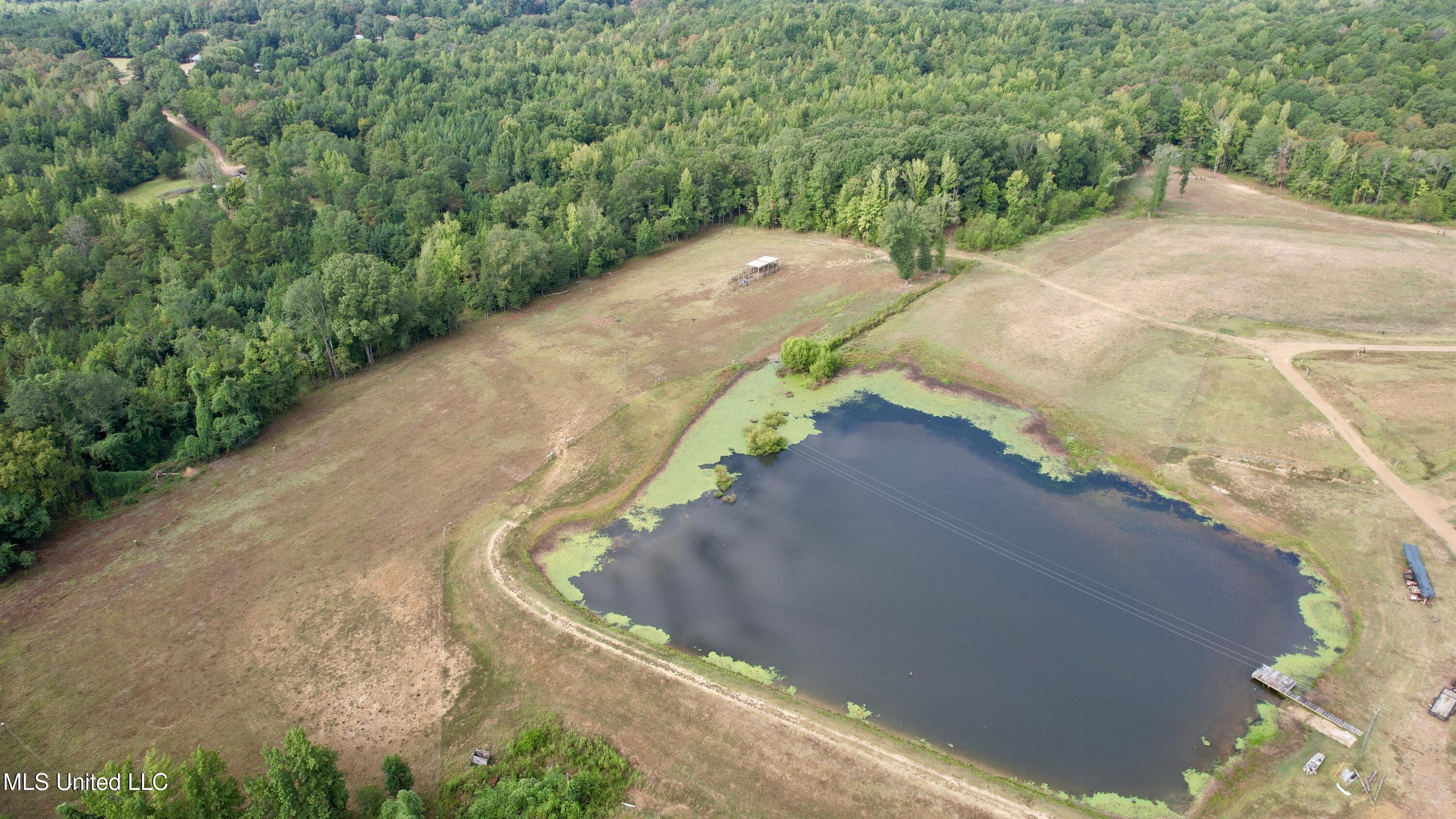 609 Co Rd 333 Property Photo 50