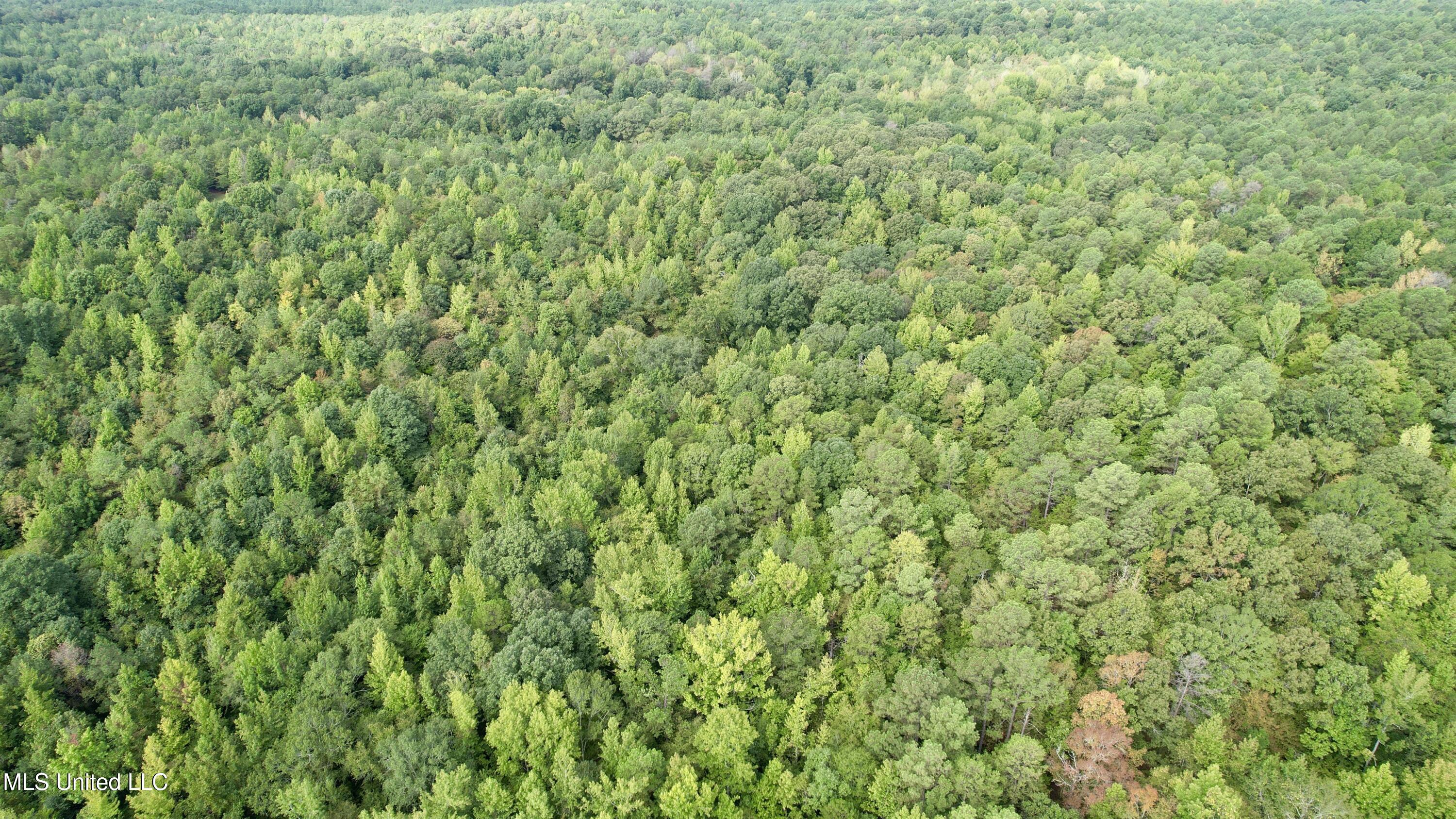 609 Co Rd 333 Property Photo 53