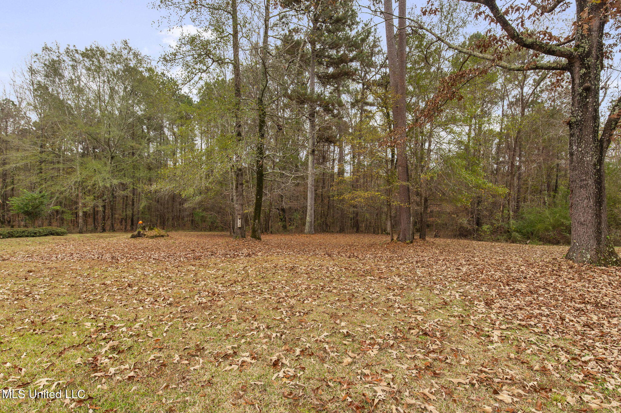 113 Allenwood Drive Property Photo 57