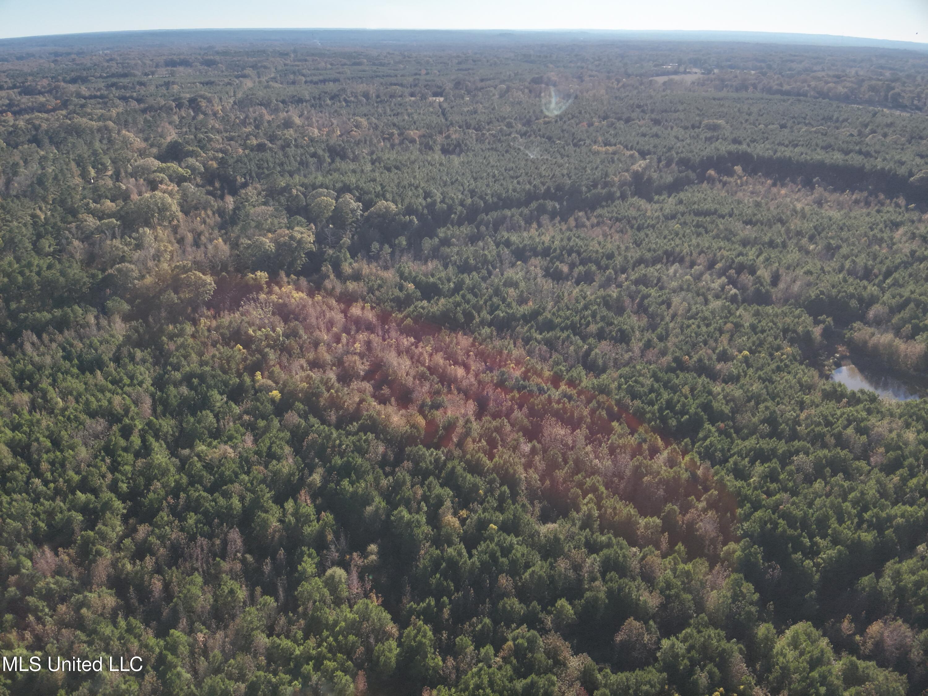 Tank Road Property Photo 12