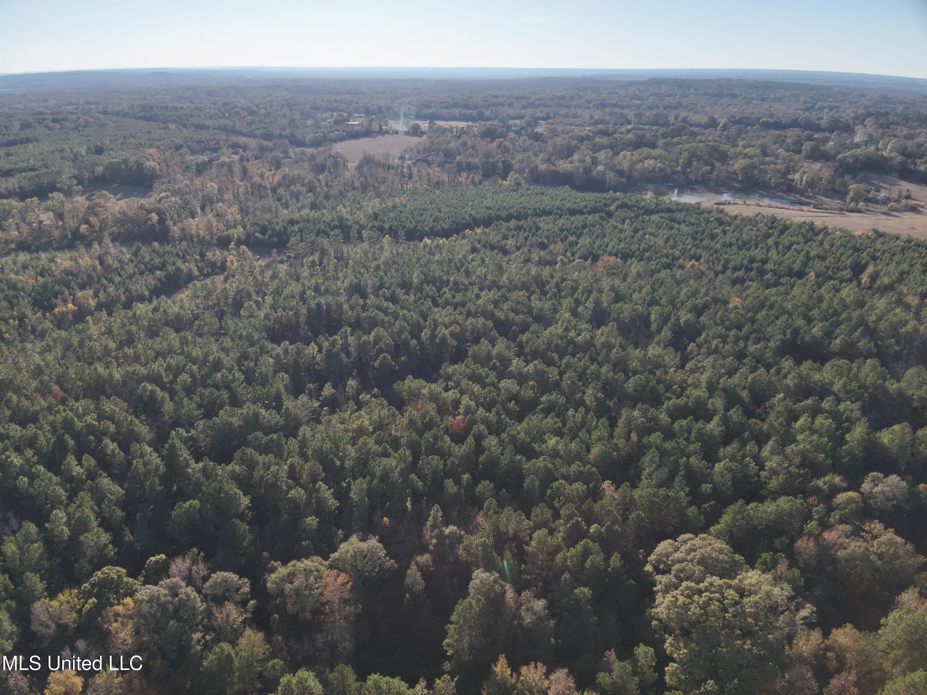 Tank Road Property Photo 16