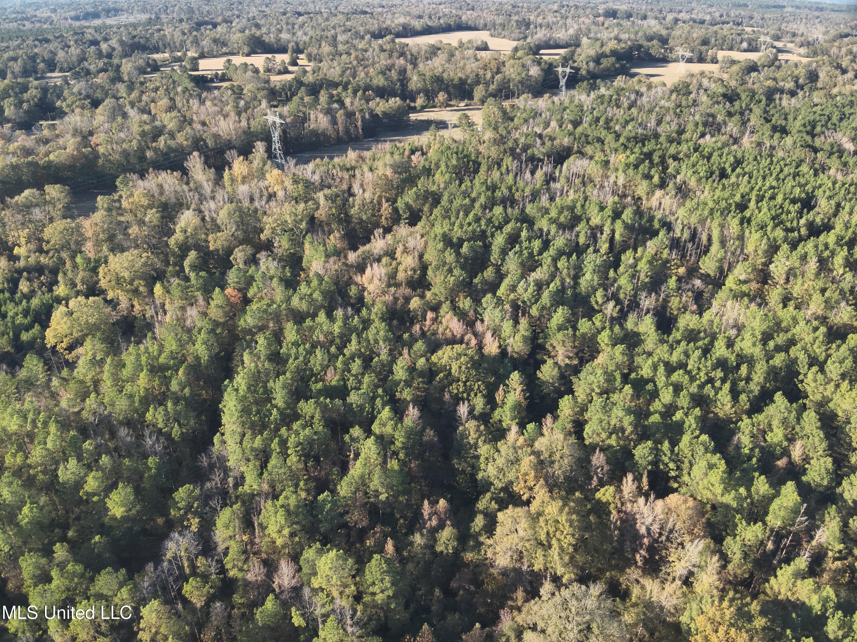 Tank Road Property Photo 17