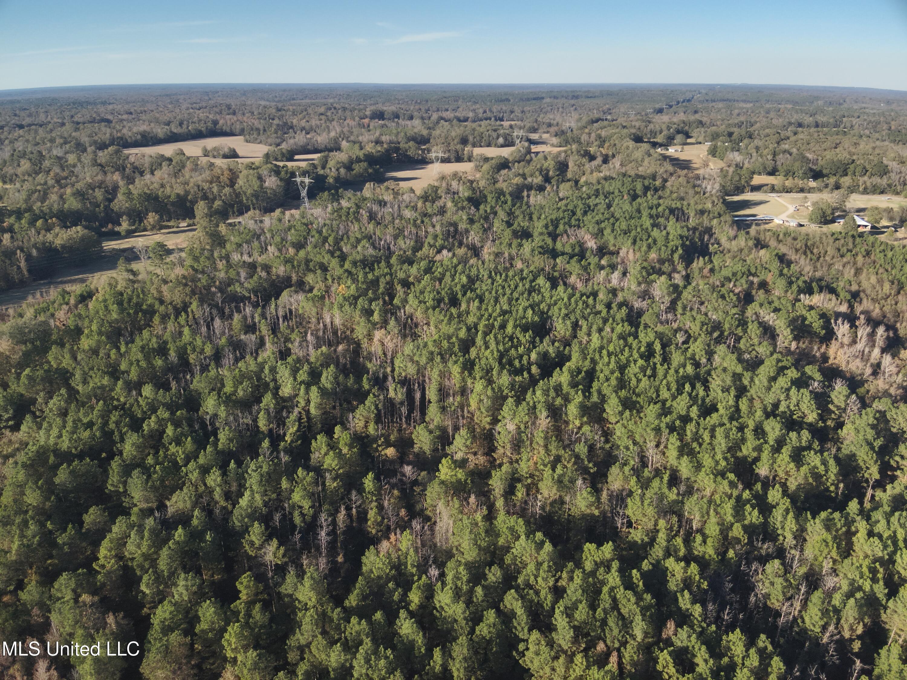 Tank Road Property Photo 19