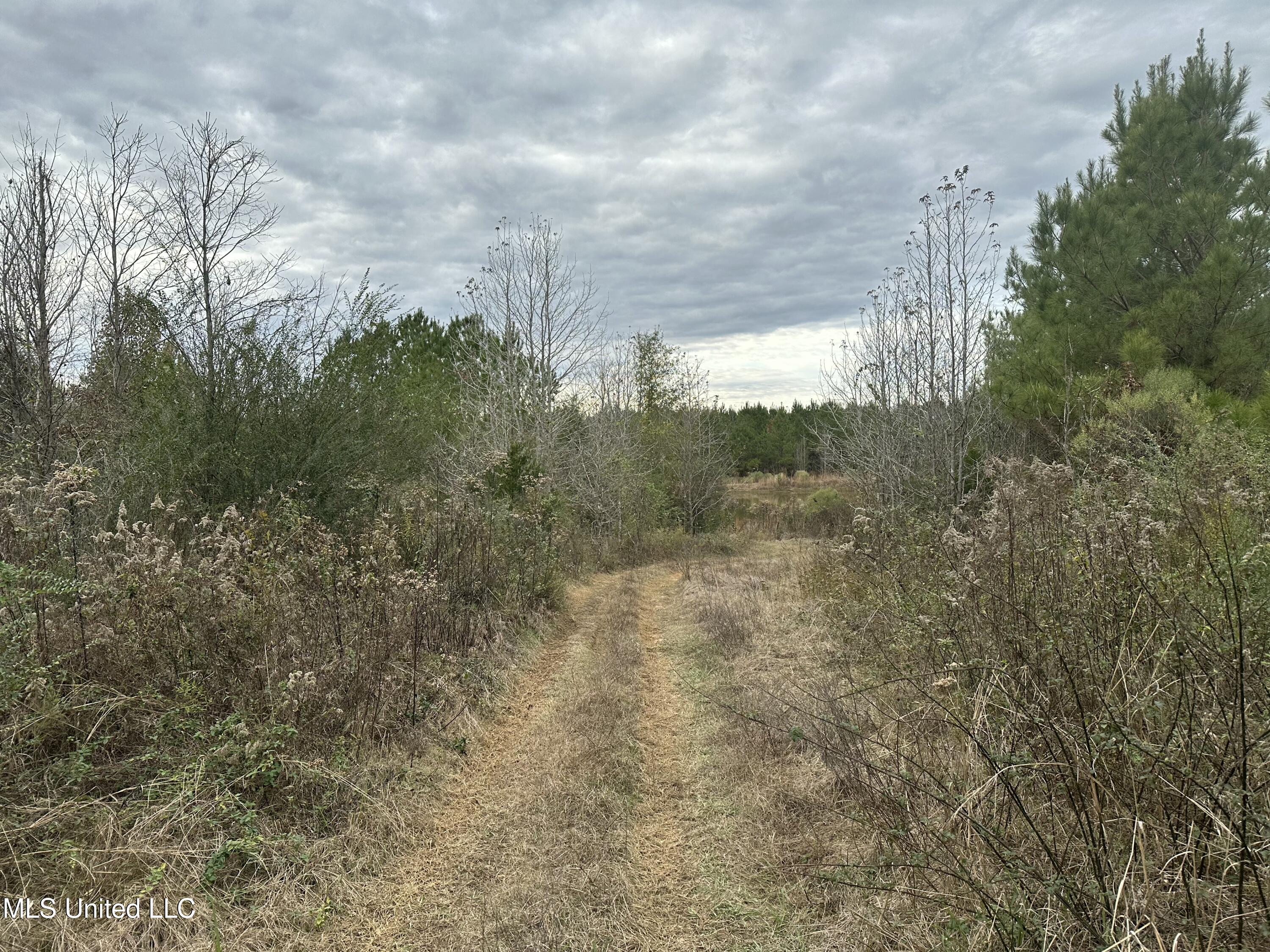 Tank Road Property Photo 22