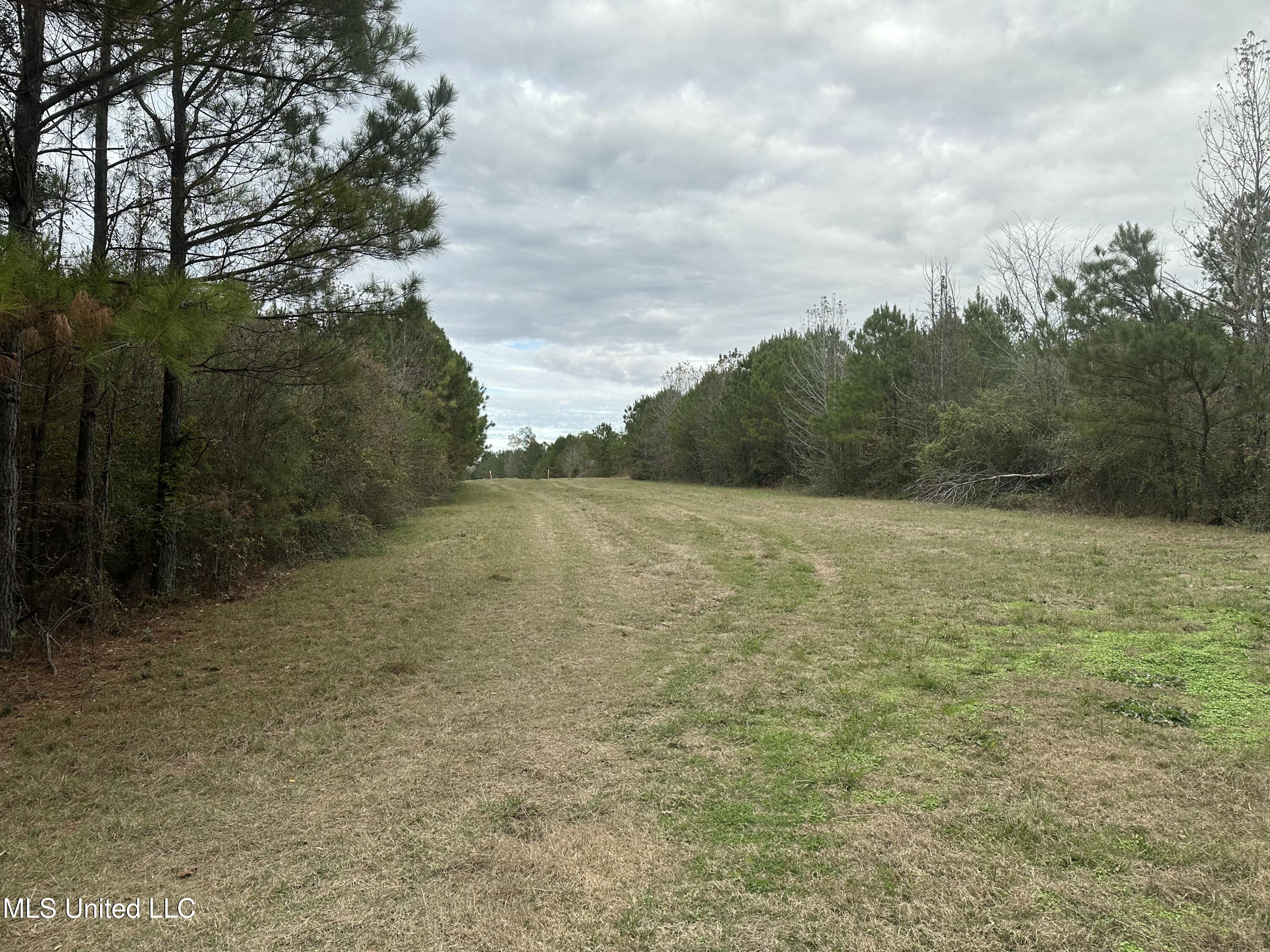 Tank Road Property Photo 27