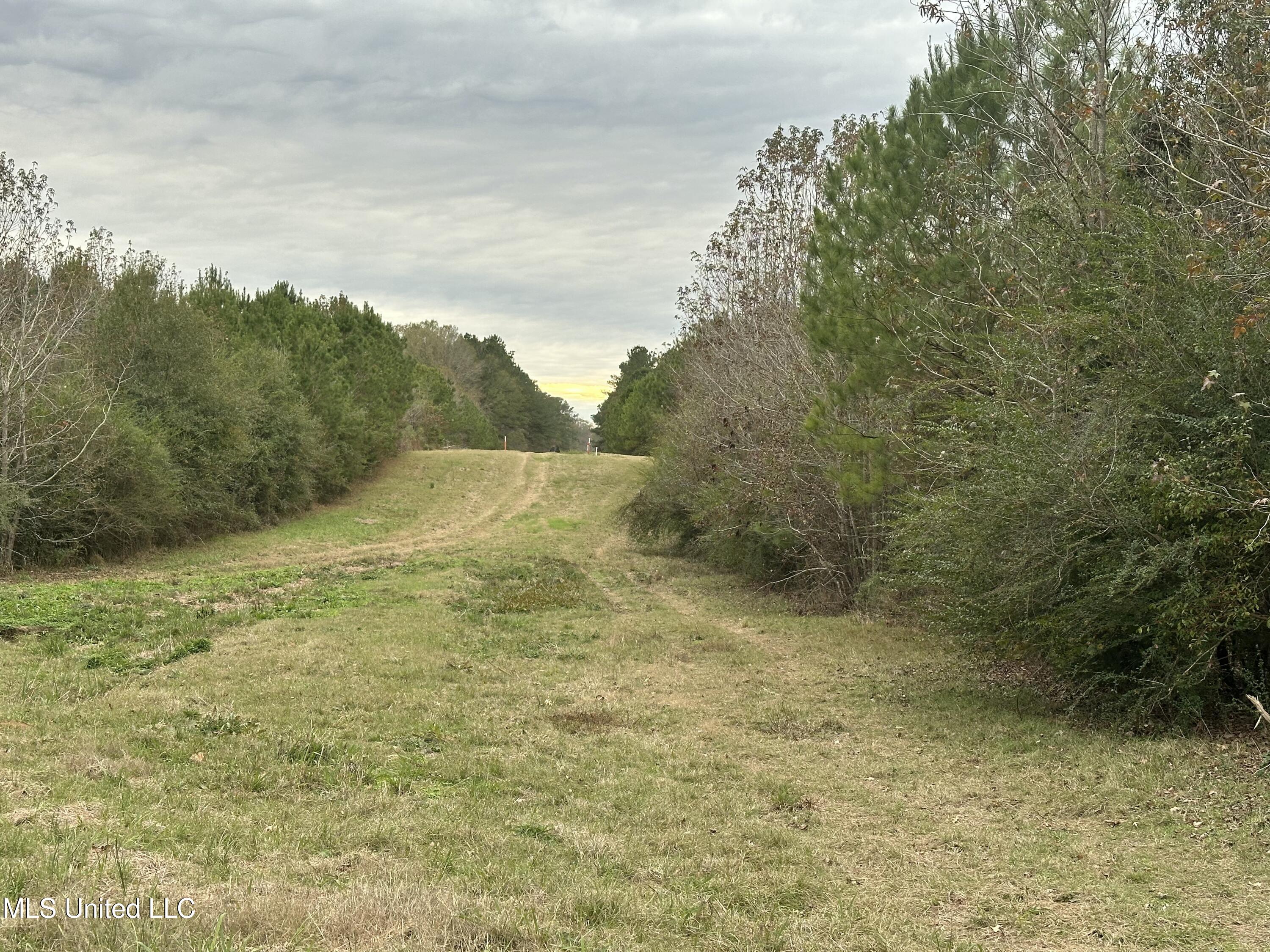 Tank Road Property Photo 29