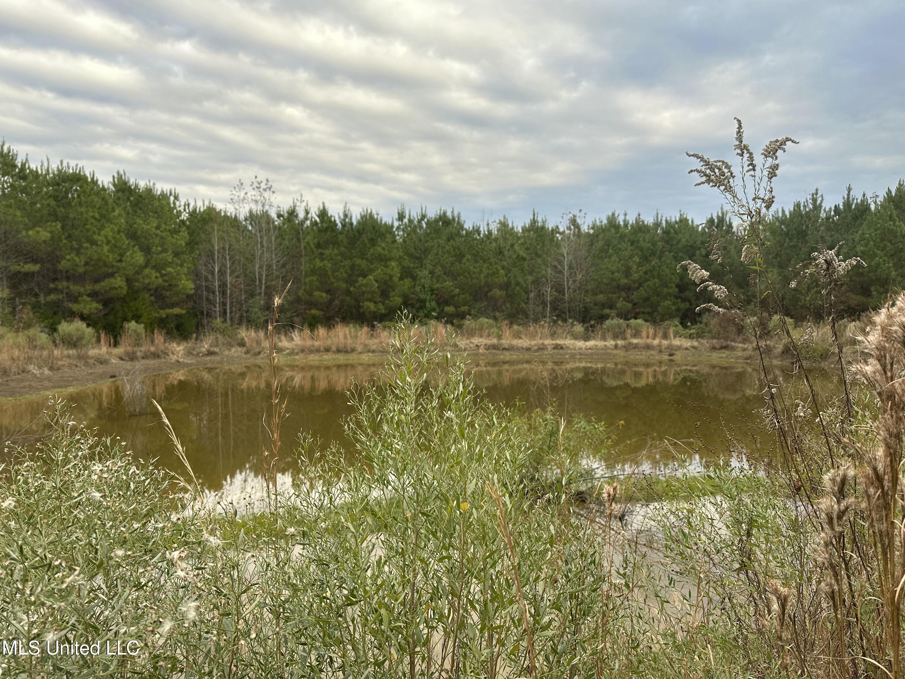 Tank Road Property Photo 32