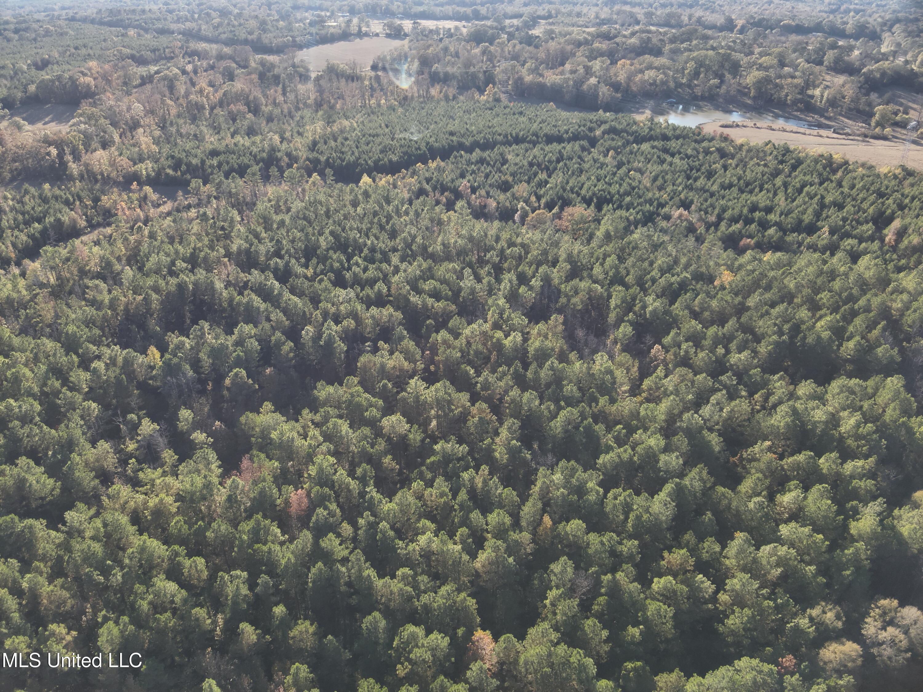 Tank Road Property Photo 34