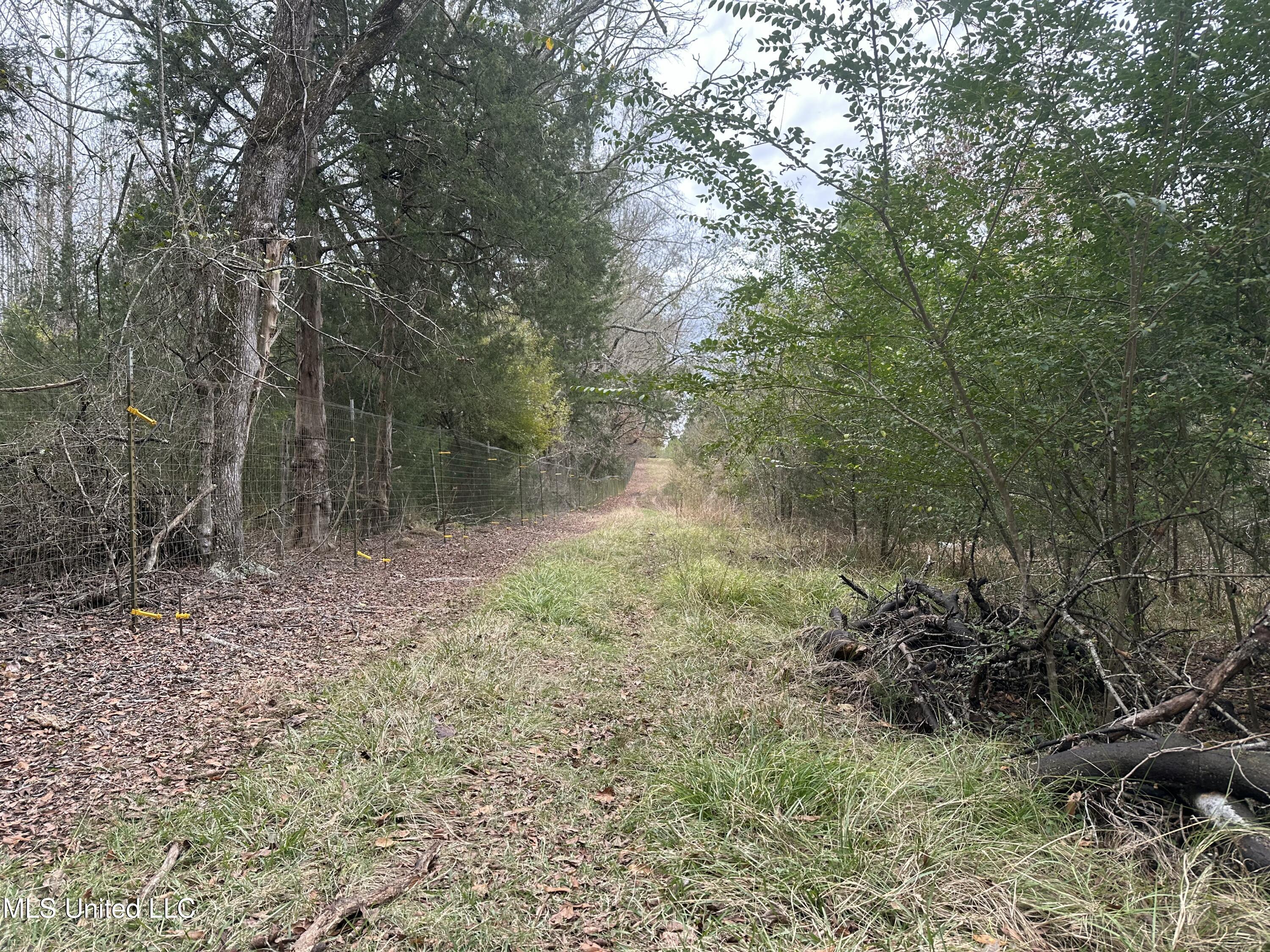 Tank Road Property Photo 35