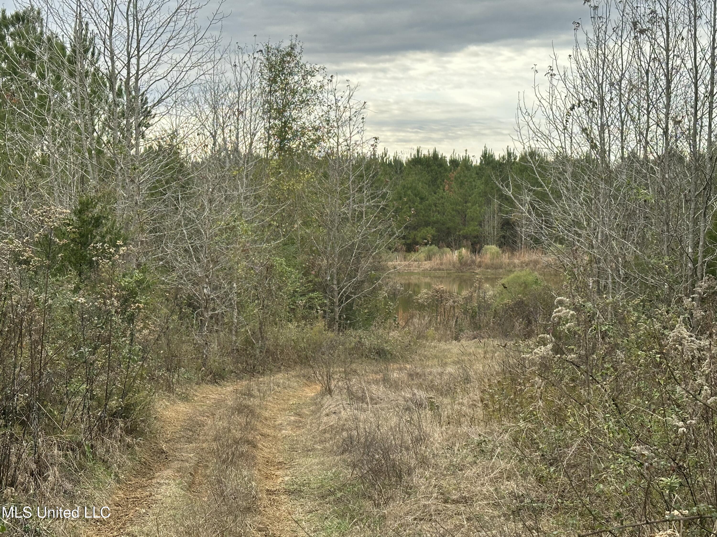Tank Road Property Photo 36