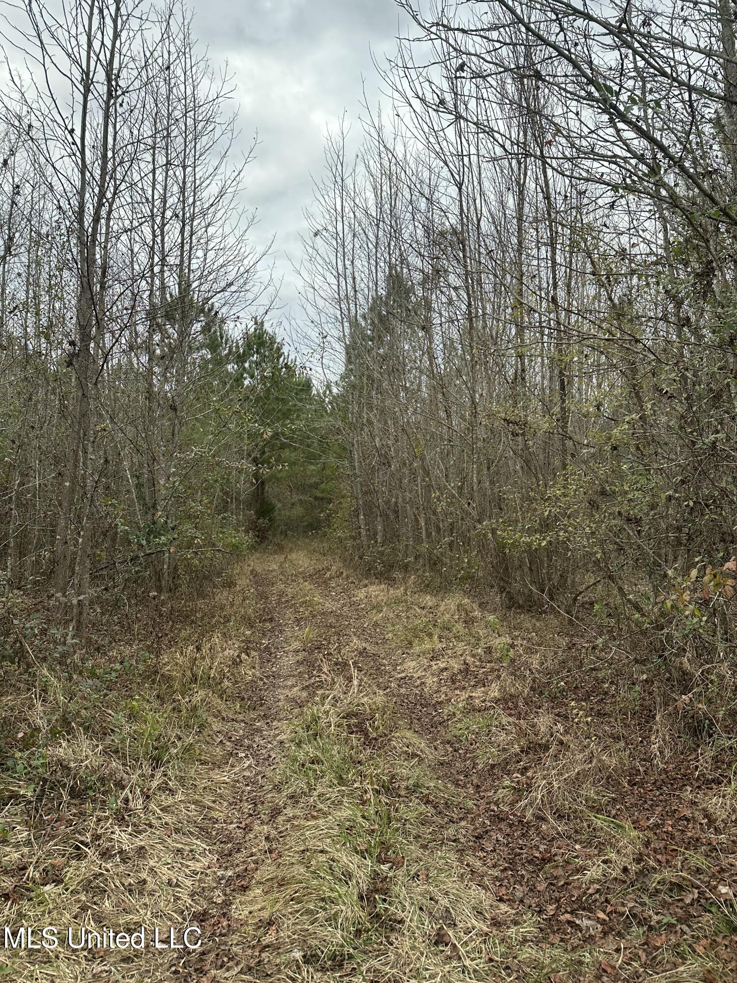 Tank Road Property Photo 37