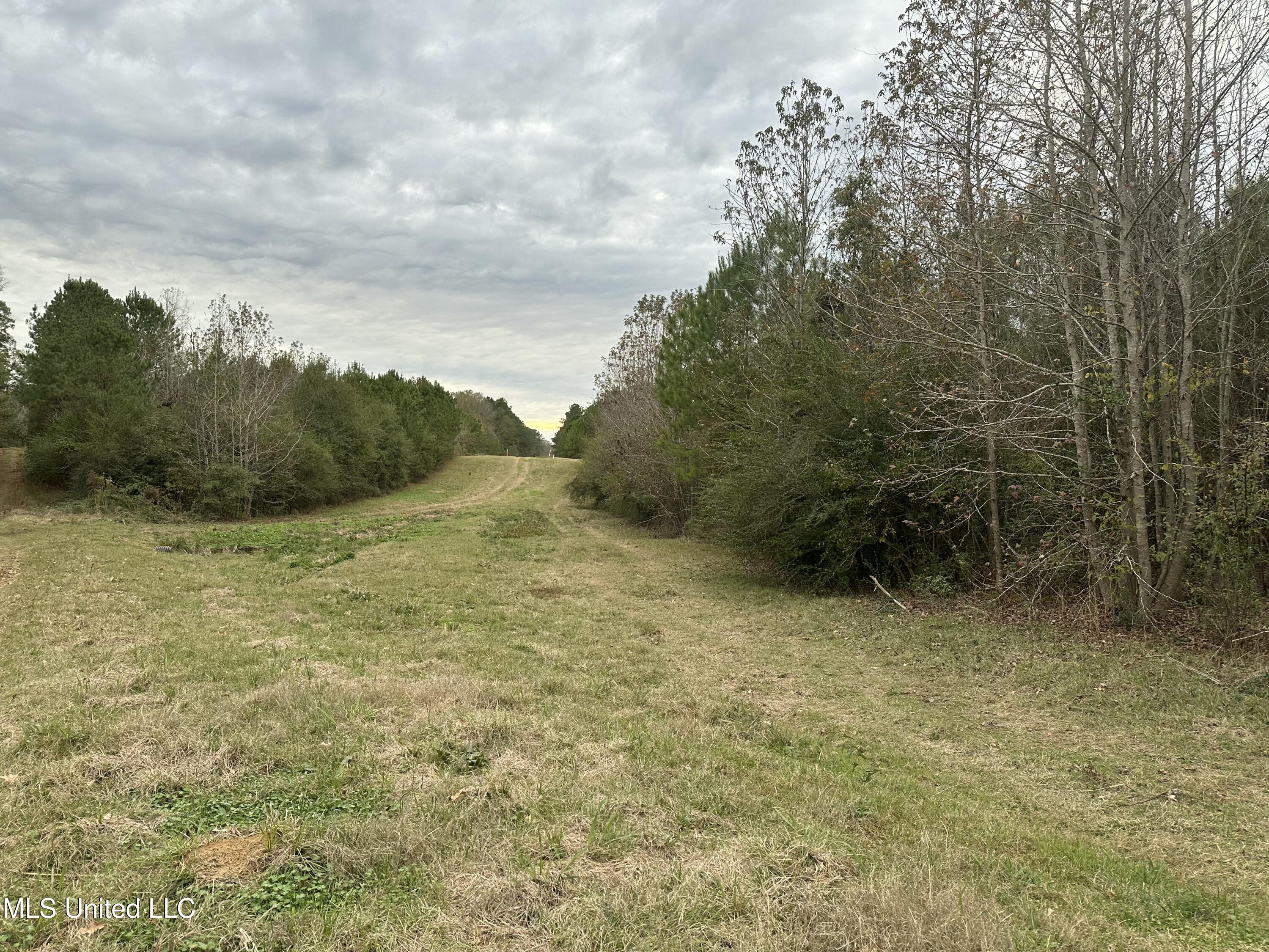 Tank Road Property Photo 38