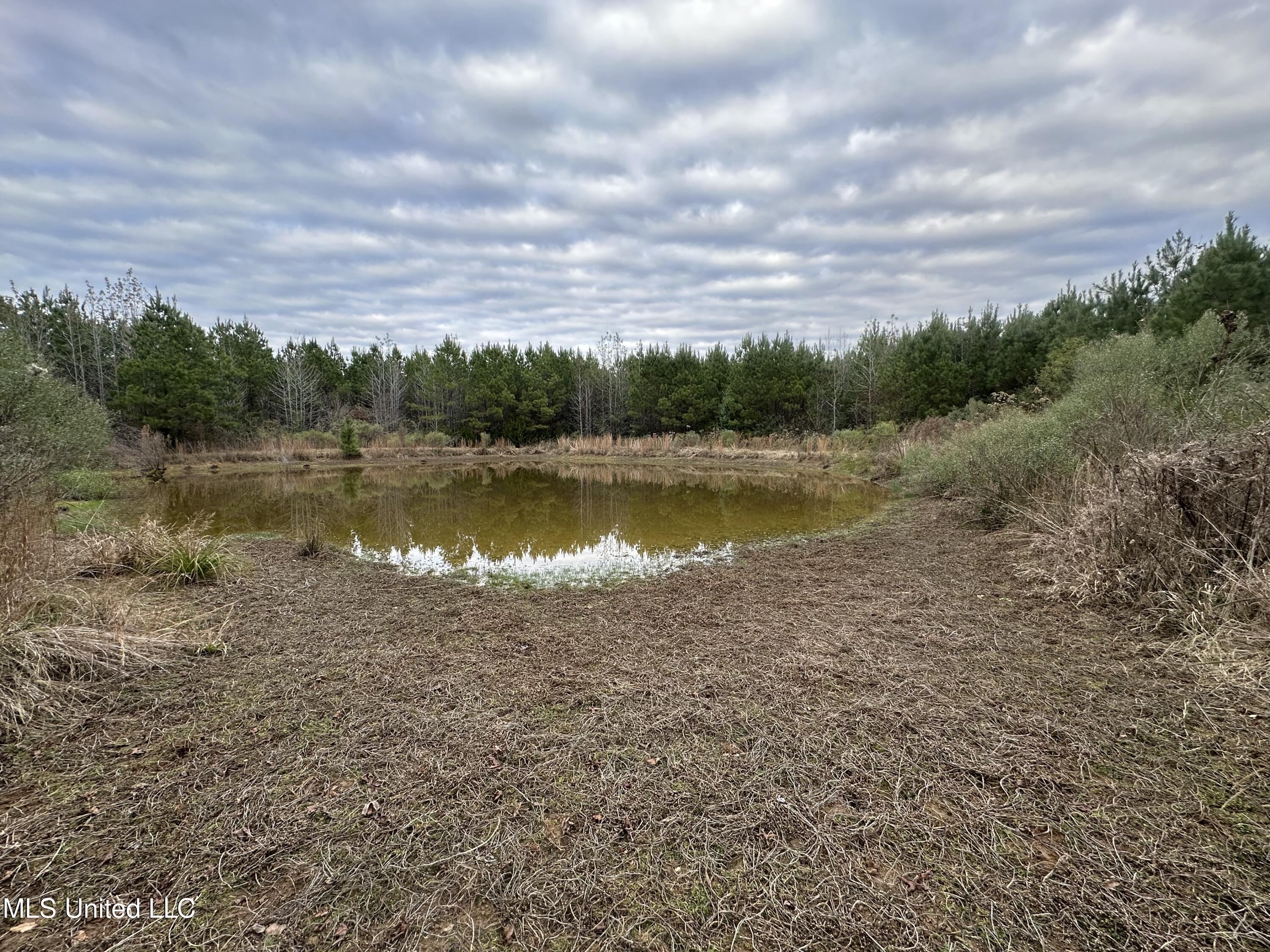 Tank Road Property Photo 39