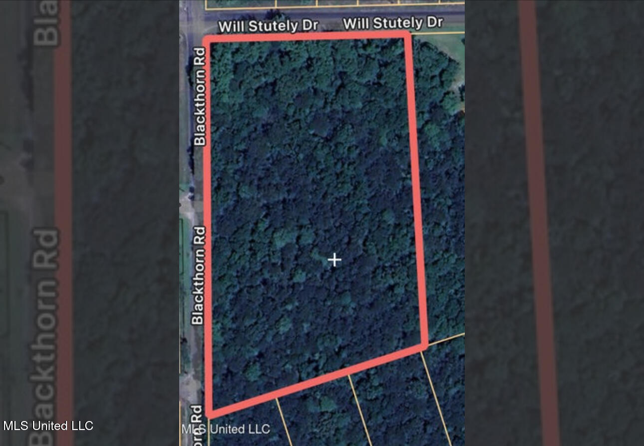 0 Will Stutely Drive Property Photo 1