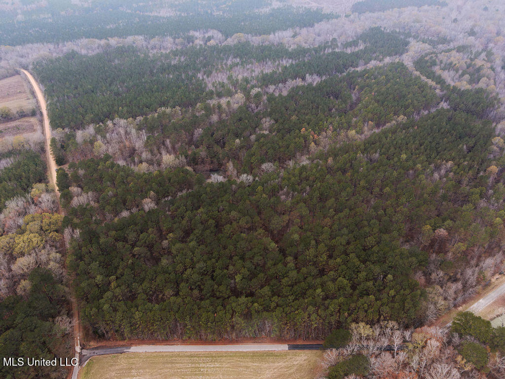 Bright Road Property Photo 3