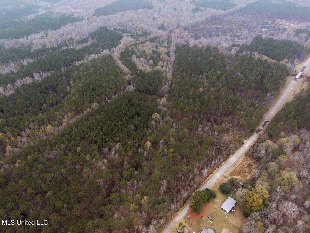 Bright Road Property Photo 4