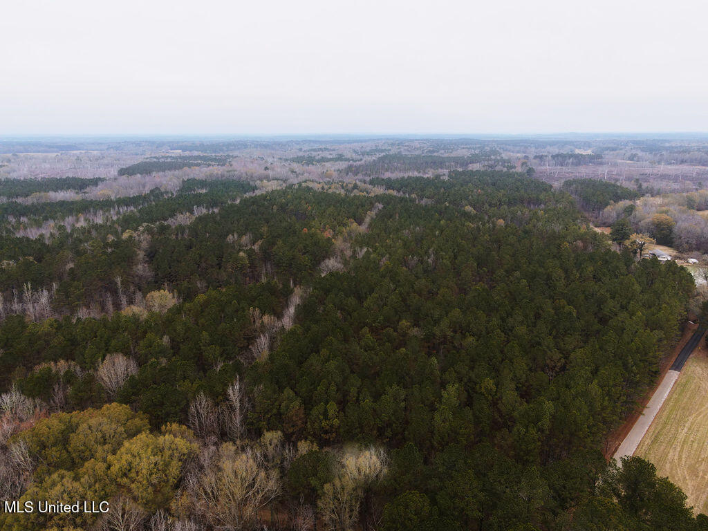 Bright Road Property Photo 5