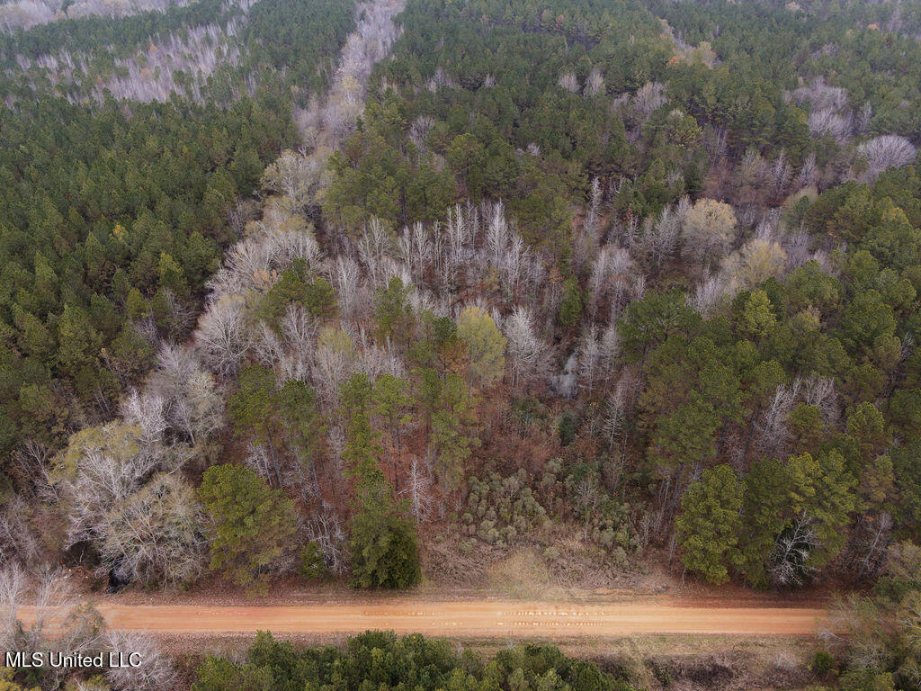 Bright Road Property Photo 6