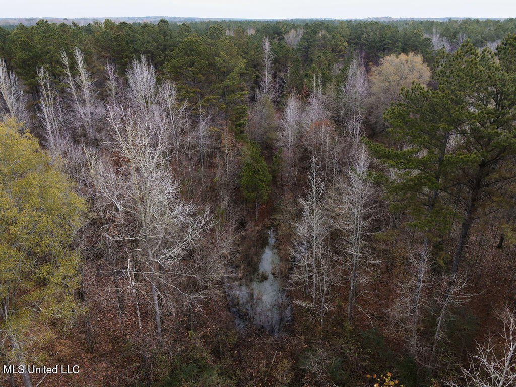 Bright Road Property Photo 8